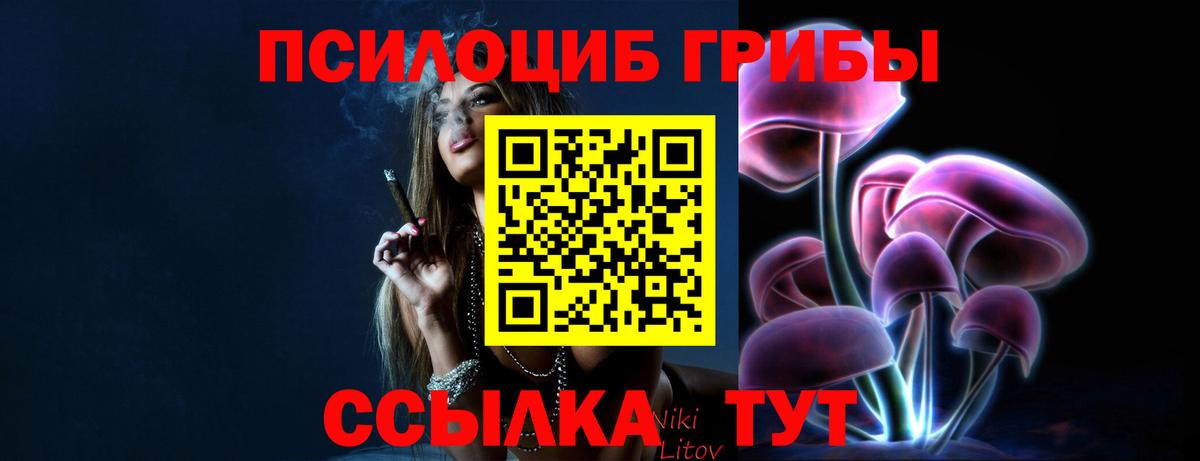 Аксай  Псилоцибиновые грибы мицелий  Псилоцибиновые грибы MAGIC MUSHROOMS  Вход с VPN 